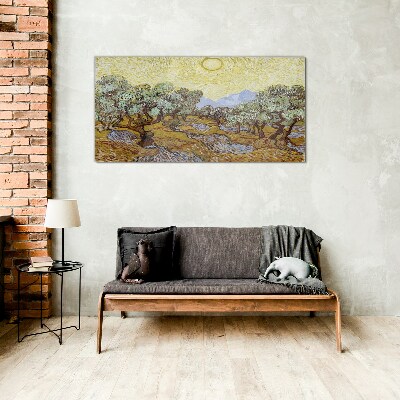 Olive trees in the sun Glass Wall Art