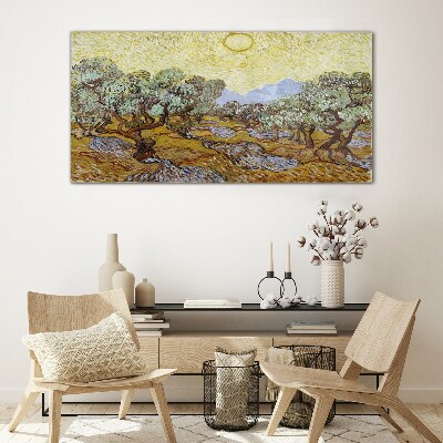Olive trees in the sun Glass Wall Art