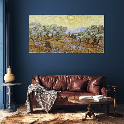 Olive trees in the sun Glass Wall Art