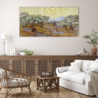 Olive trees in the sun Glass Wall Art