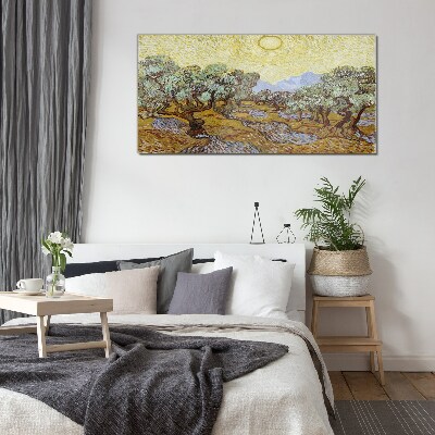 Olive trees in the sun Glass Wall Art