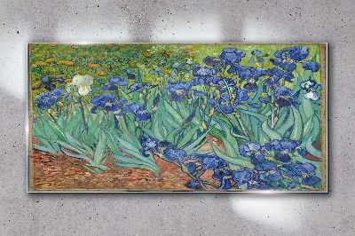 Irises in the garden Glass Wall Art