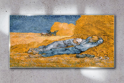 Resting among the golden fields Glass Wall Art