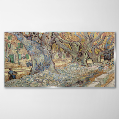 Tree-lined street in the spring sun Glass Wall Art