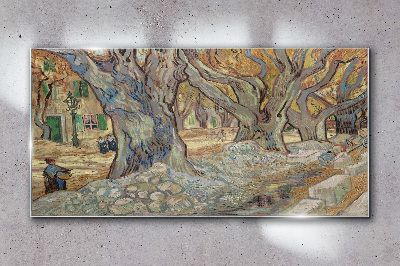 Tree-lined street in the spring sun Glass Wall Art