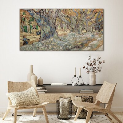 Tree-lined street in the spring sun Glass Wall Art