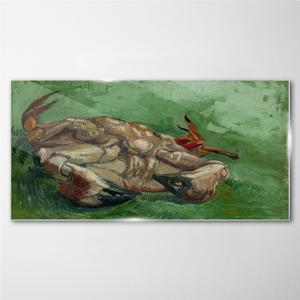 Crab lying on its back Glass Wall Art