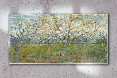 Flowering trees in the spring sun Glass Wall Art