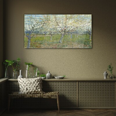 Flowering trees in the spring sun Glass Wall Art