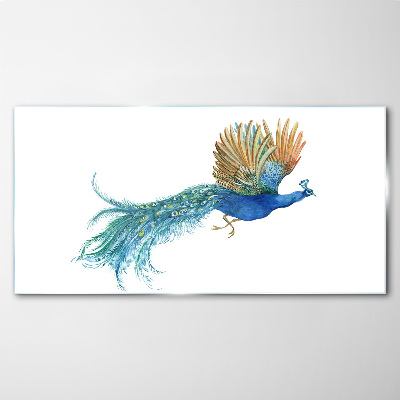 Colorful peacock in motion Glass Wall Art