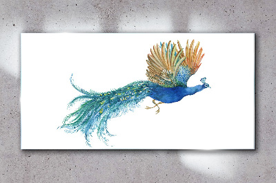 Colorful peacock in motion Glass Wall Art