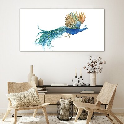Colorful peacock in motion Glass Wall Art