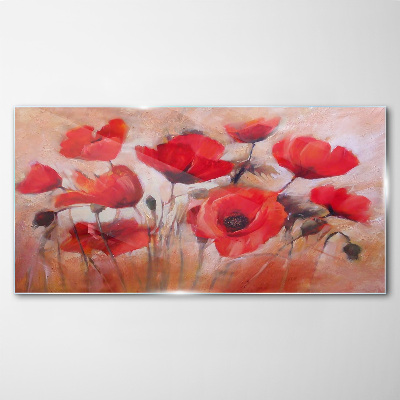 Red poppies on a pastel background Glass Wall Art