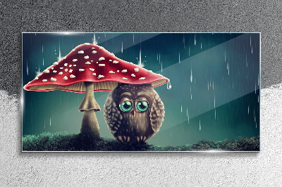An Owl Under a Mushroom in the Rain Glass Wall Art