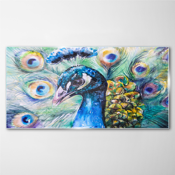 Colorful peacock among feathers Glass Wall Art