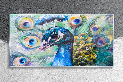 Colorful peacock among feathers Glass Wall Art