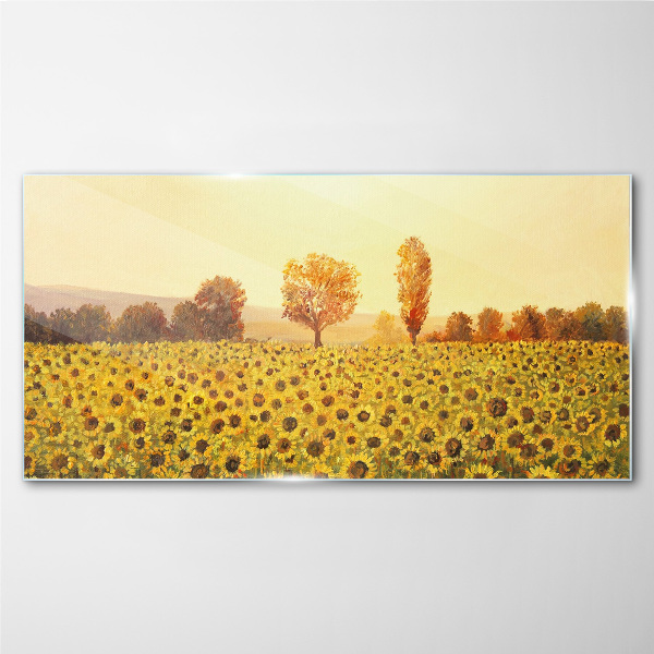 Sunflower field in the setting sun Glass Wall Art