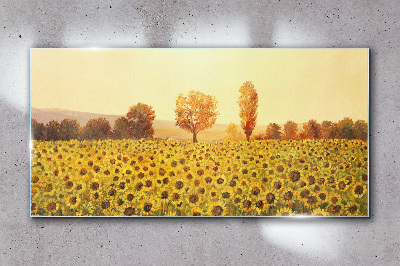 Sunflower field in the setting sun Glass Wall Art