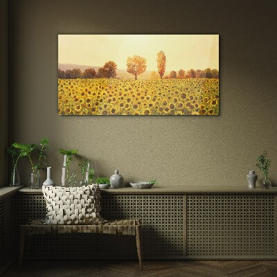 Sunflower field in the setting sun Glass Wall Art