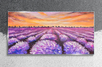 Purple lavender fields at sunset Glass Wall Art