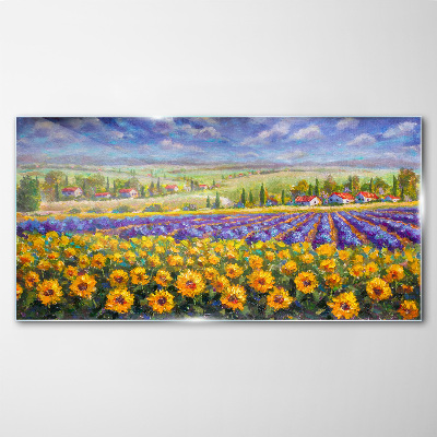 Flower landscape in the sunlight Glass Wall Art