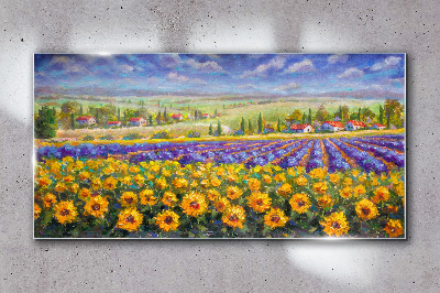 Flower landscape in the sunlight Glass Wall Art
