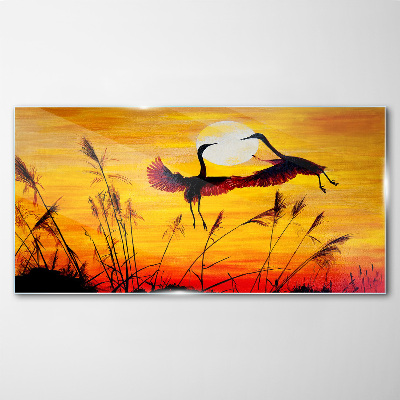Dancing cranes at sunset Glass Wall Art