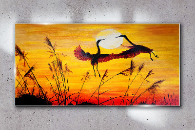 Dancing cranes at sunset Glass Wall Art