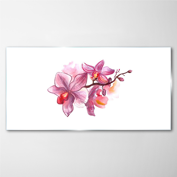 Pink orchids on white background Glass Wall Art