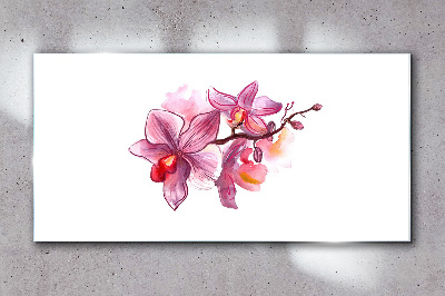 Pink orchids on white background Glass Wall Art