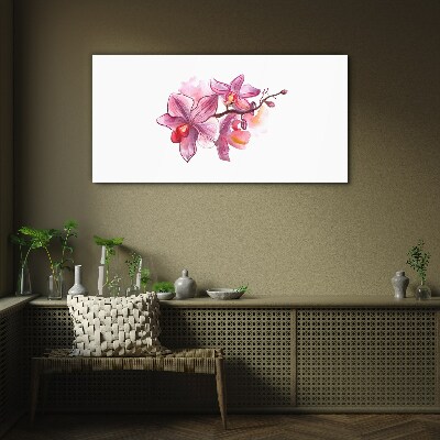 Pink orchids on white background Glass Wall Art