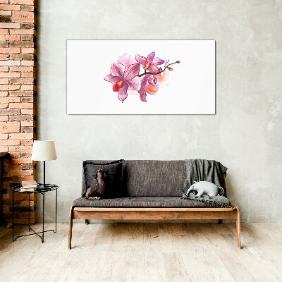 Pink orchids on white background Glass Wall Art