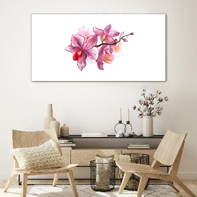 Pink orchids on white background Glass Wall Art