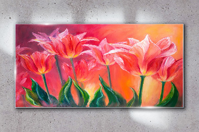 Tulips in shades of pink Glass Wall Art