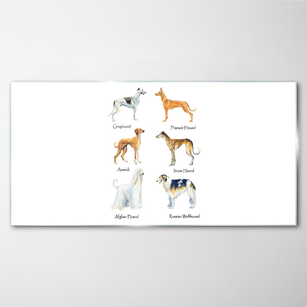 Breeds of dogs of the chrts Glass Wall Art