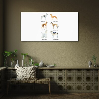 Breeds of dogs of the chrts Glass Wall Art
