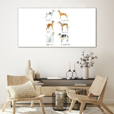 Breeds of dogs of the chrts Glass Wall Art