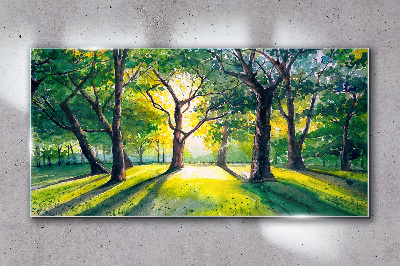 Golden rays in the forest grove Glass Wall Art