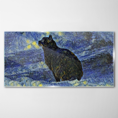 Cat in the night sky Glass Wall Art