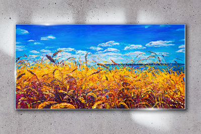 Golden fields under blue sky Glass Wall Art