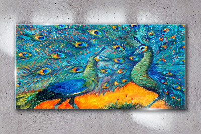 Dancing peacocks in a colorful display Glass Wall Art
