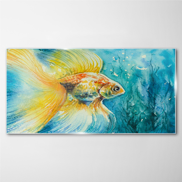 Goldfish in colored water Glass Wall Art