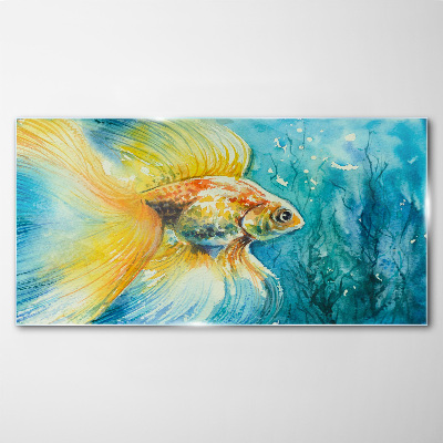 Goldfish in colored water Glass Wall Art