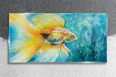 Goldfish in colored water Glass Wall Art