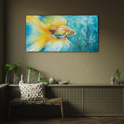Goldfish in colored water Glass Wall Art