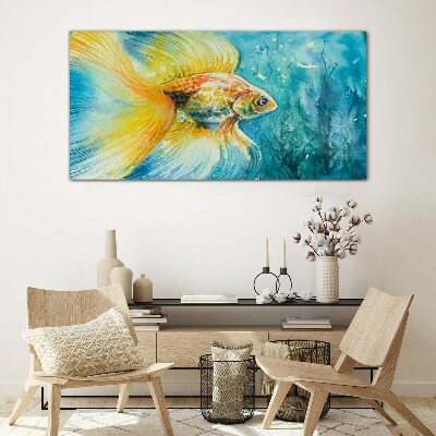 Goldfish in colored water Glass Wall Art