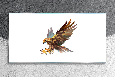 Golden falcon in flight Glass Wall Art