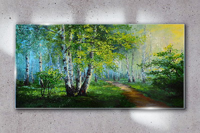 Green forest in the morning fog Glass Wall Art