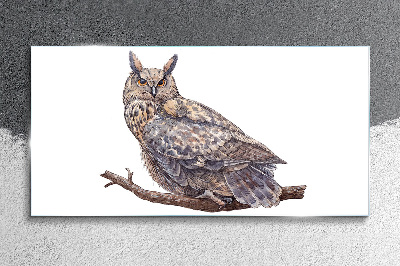 Owl on a branch Glass Wall Art