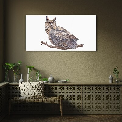 Owl on a branch Glass Wall Art